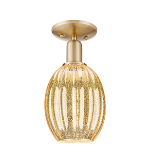 Arcadia One Light Semi-Flush Mount in Champagne Bronze (405|716-1C-CB-G459-6ME)