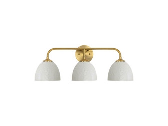 Shepard Three Light Vanity in Modern Brass (62|6950-BA3 MBS-WHT)