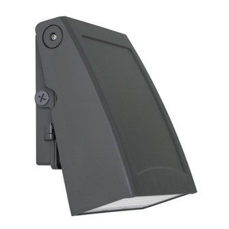 Poly LED Outdoor Lantern in Bronze (162|POLW0911LAJD2BZ)