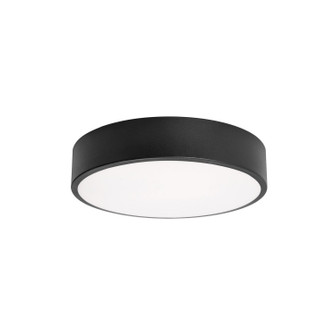 Bailey LED Flush Mount in Black (162|BAYF12LAJUDBK)