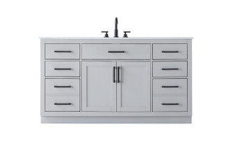 Alden Bathroom Vanity in Grey (173|VF29760GR)