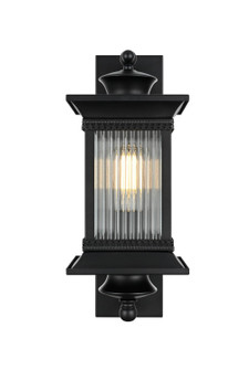 Collins One Light Outdoor Wall Sconce in Black (173|OD316W19BK)