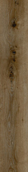 Legacy Luxury Vinyl Flooring (173|LVFOAK05-7-7-V2)
