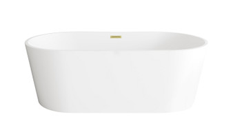 Springfield Bathtub in Glossy White (173|BT30167GW-BGD)