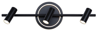 Denver LED Track/Wall Light in Black (387|LT314A03BK)