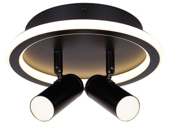 Denver Two Light Ceiling/Wall Mount in Black (387|LCW314A02BK)
