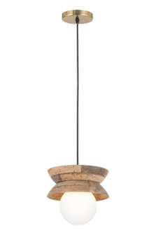 Kali One Light Pendant in Black (387|IPL2153B01NA)