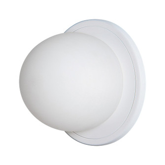Raquel s LED Wall Sconce in White (443|WS127)