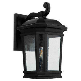 Murphy One Light Lantern in Matte Black (19|714-12-59)