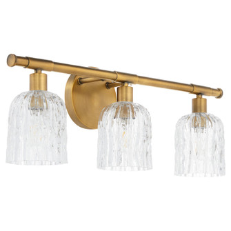 Meriam Three Light Vanity in Brushed Brass (19|593-3-47)