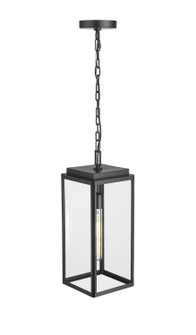 Alpharetta One Light Outdoor Hanging Lantern in Powder Coated Black (59|902301-PBK)