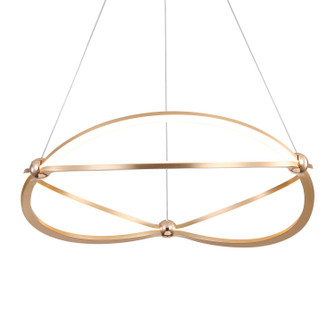 Spirale LED Chandelier in Anodized Gold (62|7916-24 AGL)