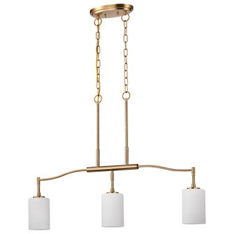 Liam Three Light Pendant in Burnished Brass (72|60-8208)