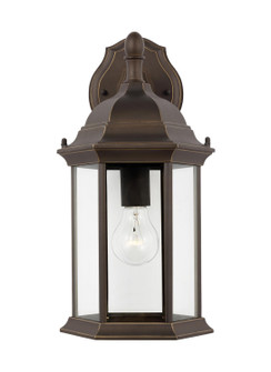 Sevier One Light Outdoor Wall Lantern in Antique Bronze (1|8938701-71)