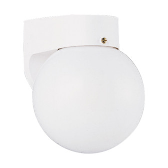 Outdoor Wall One Light Outdoor Wall Lantern in White (1|8753EN3-15)