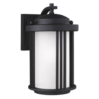 Crowell One Light Outdoor Wall Lantern in Black (1|8547901-12)