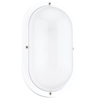 Bayside One Light Outdoor Wall Lantern in White (1|8335EN3-15)