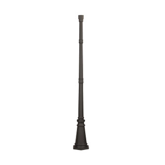 Outdoor Posts Post in Black (1|8120-12)
