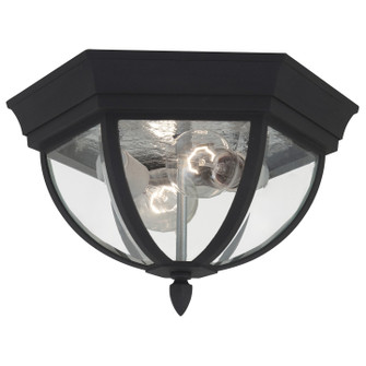 Wynfield Two Light Outdoor Flush Mount in Black (1|78136-12)
