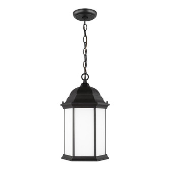 Sevier One Light Outdoor Pendant in Black (1|6238751-12)