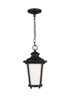 Cape May One Light Outdoor Pendant in Black (1|62240EN3-12)