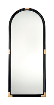 Saltwater Mirror in Black (580|6SALT-FMBK)