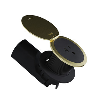 radiant Kitchen Countertop Outlet Lid in Champagne Bronze (246|CP498LCB)