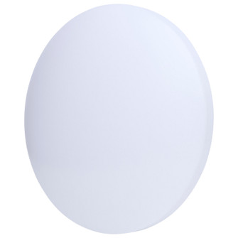 Replacement Lens in White (72|25-276)