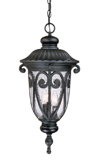 Naples Three Light Hanging Lantern in Matte Black (106|2126BK)