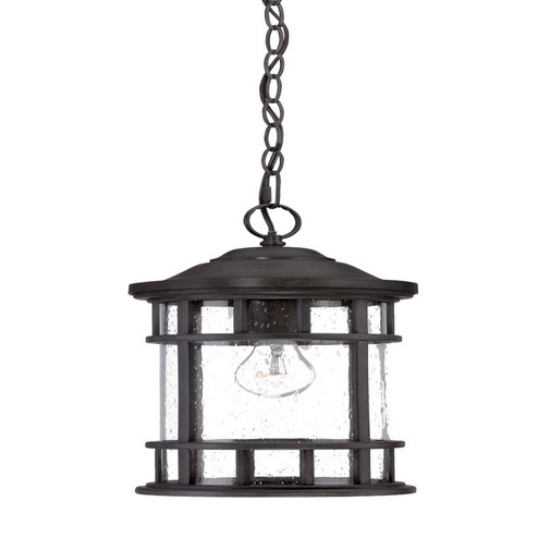 Vista II One Light Hanging Lantern in Black Coral (106|31946BC)