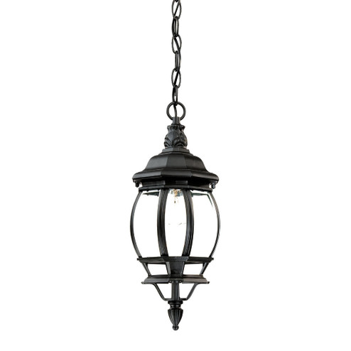 Chateau One Light Hanging Lantern in Matte Black (106|5056BK)