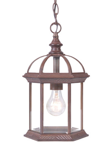 Dover One Light Hanging Lantern in Burled Walnut (106|5276BW)