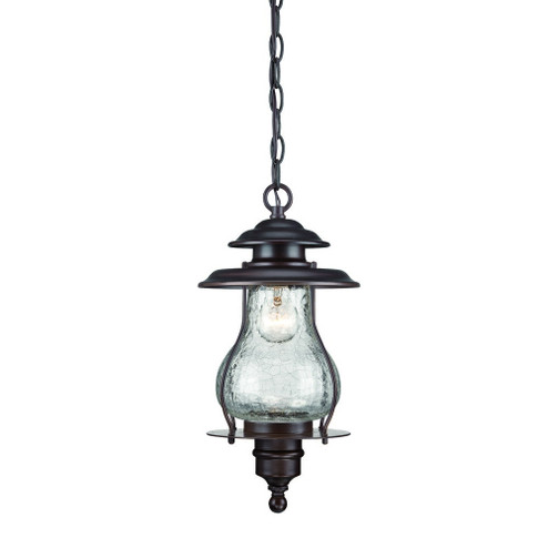 Blue Ridge One Light Hanging Lantern in Architectural Bronze (106|8206ABZ)