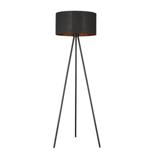 Morenci One Light Floor Lamp in Matte Black (106|TF70095BK)