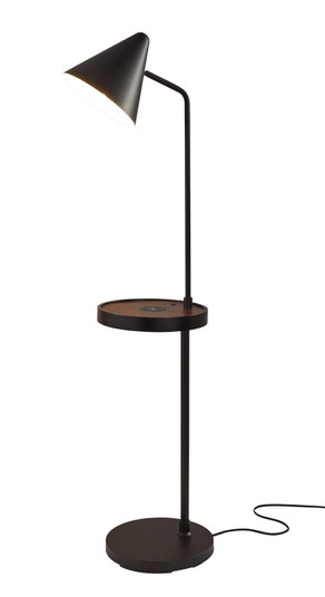 Oliver Floor Lamp in Matte Black (262|3690-01)