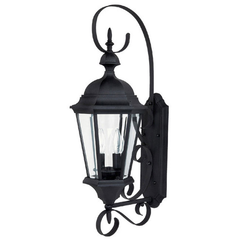 Carriage House Two Light Outdoor Wall Lantern in Black (65|9722BK)