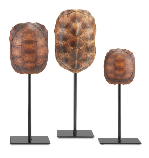 Turtle Shells Set of 3 in Dark Brown/Antique Brown/Black (142|1200-0433)