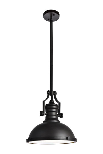 Eamon One Light Pendant in Oil Rubbed Bronze (173|LD5001D13ORB)