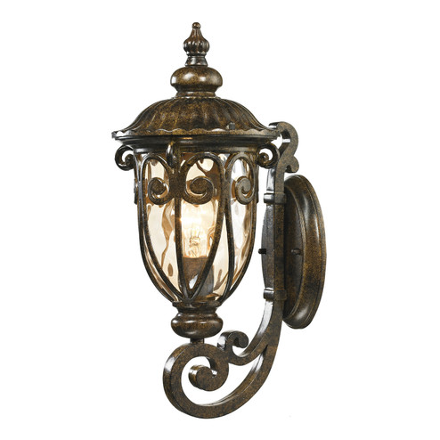 Logansport One Light Outdoor Wall Sconce in Hazelnut Bronze (45|45070/1)