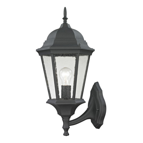 Temple Hill One Light Outdoor Wall Sconce in Matte Textured Black (45|8111EW/65)