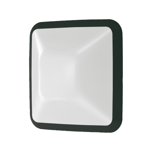 Excell One Light In Wall in Black (40|23912-021)