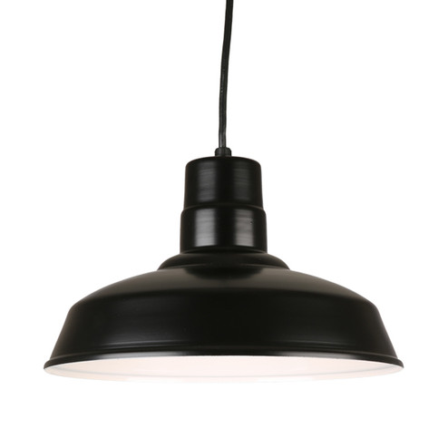 Warehouse One Light Pendant in Black (381|H-QSN15114-C-91)