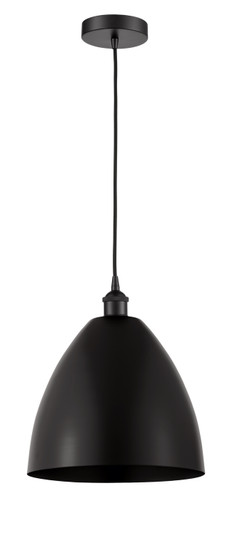 Edison One Light Mini Pendant in Matte Black (405|616-1P-BK-MBD-12-BK)
