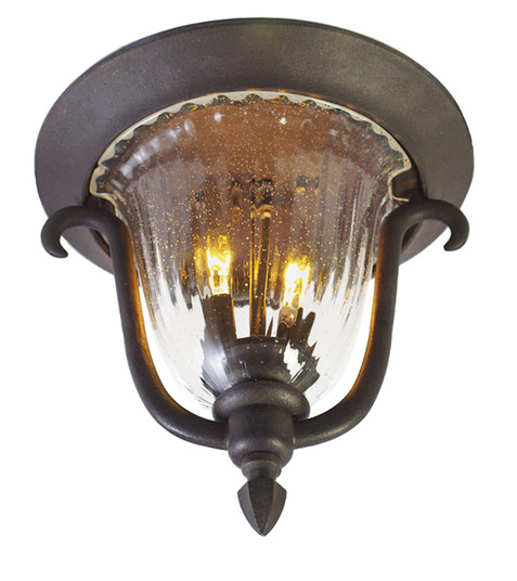 Santa Barbara Outdoor Two Light Outdoor Flush Mount in Burnished Bronze (33|9017BB)