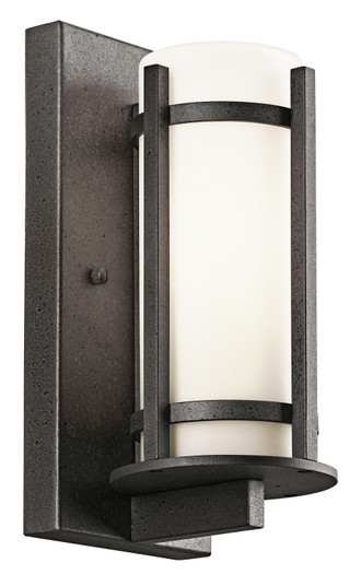 Camden One Light Outdoor Wall Mount in Anvil Iron (12|49119AVI)