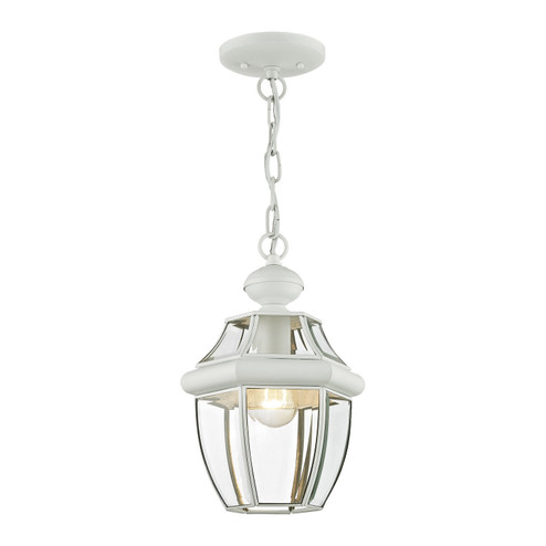 Monterey One Light Outdoor Pendant in White (107|2152-03)