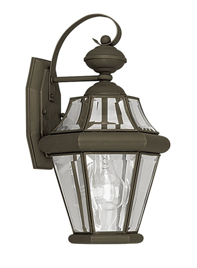 Georgetown One Light Outdoor Wall Lantern in Bronze (107|2161-07)