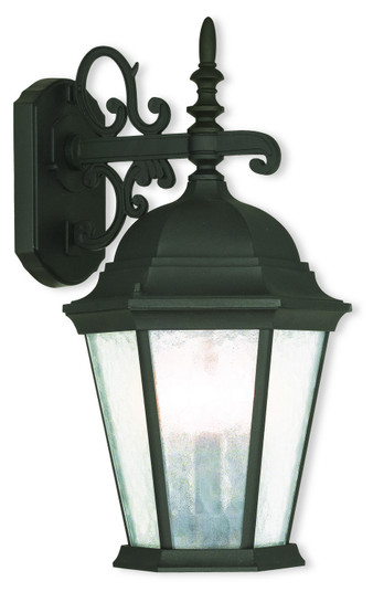 Hamilton Three Light Outdoor Wall Lantern in Textured Black (107|75466-14)