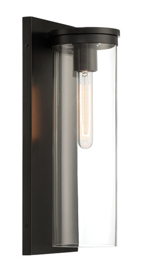 One Light Outdoor Wall Mount in Black (90|301008)