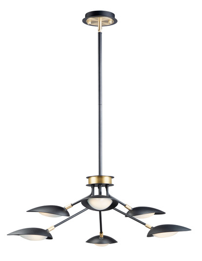 Scan LED Pendant in Black / Satin Brass (16|21696BKSBR)